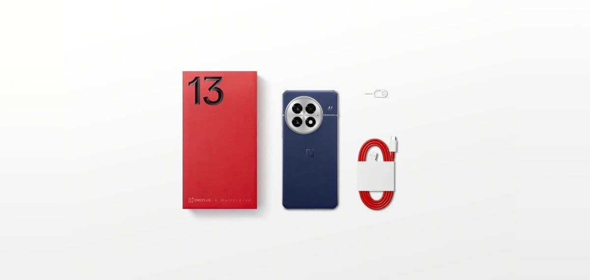 OnePlus 13 Phone